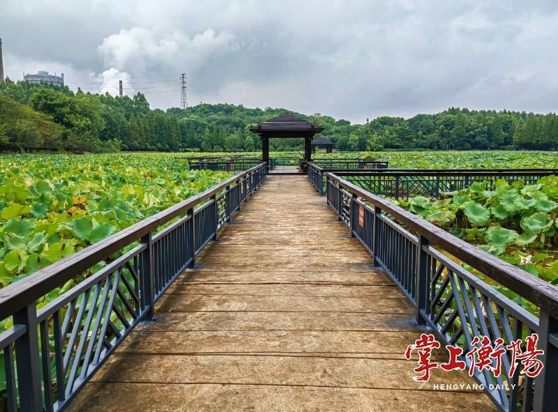 迎旅發(fā) 游雁峰｜南湖公園提質改造即將完工