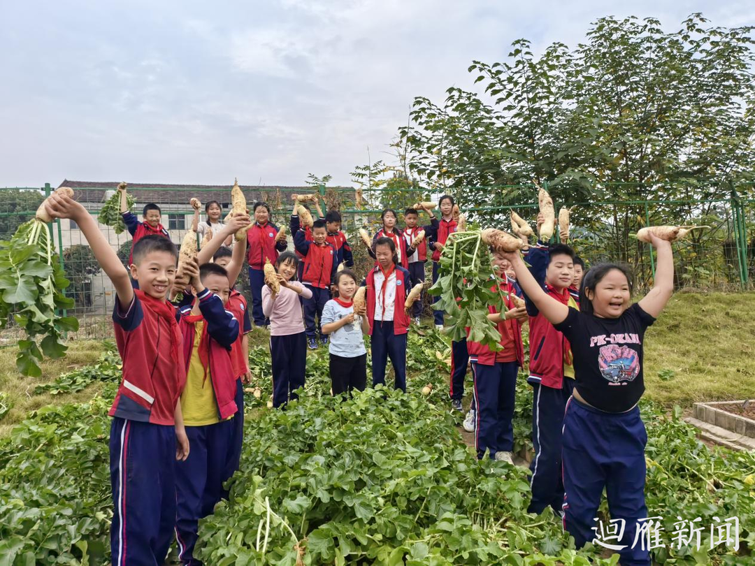 劳动促成长  义卖暖人心——白沙实验学校开展蔬菜义卖献爱心活动