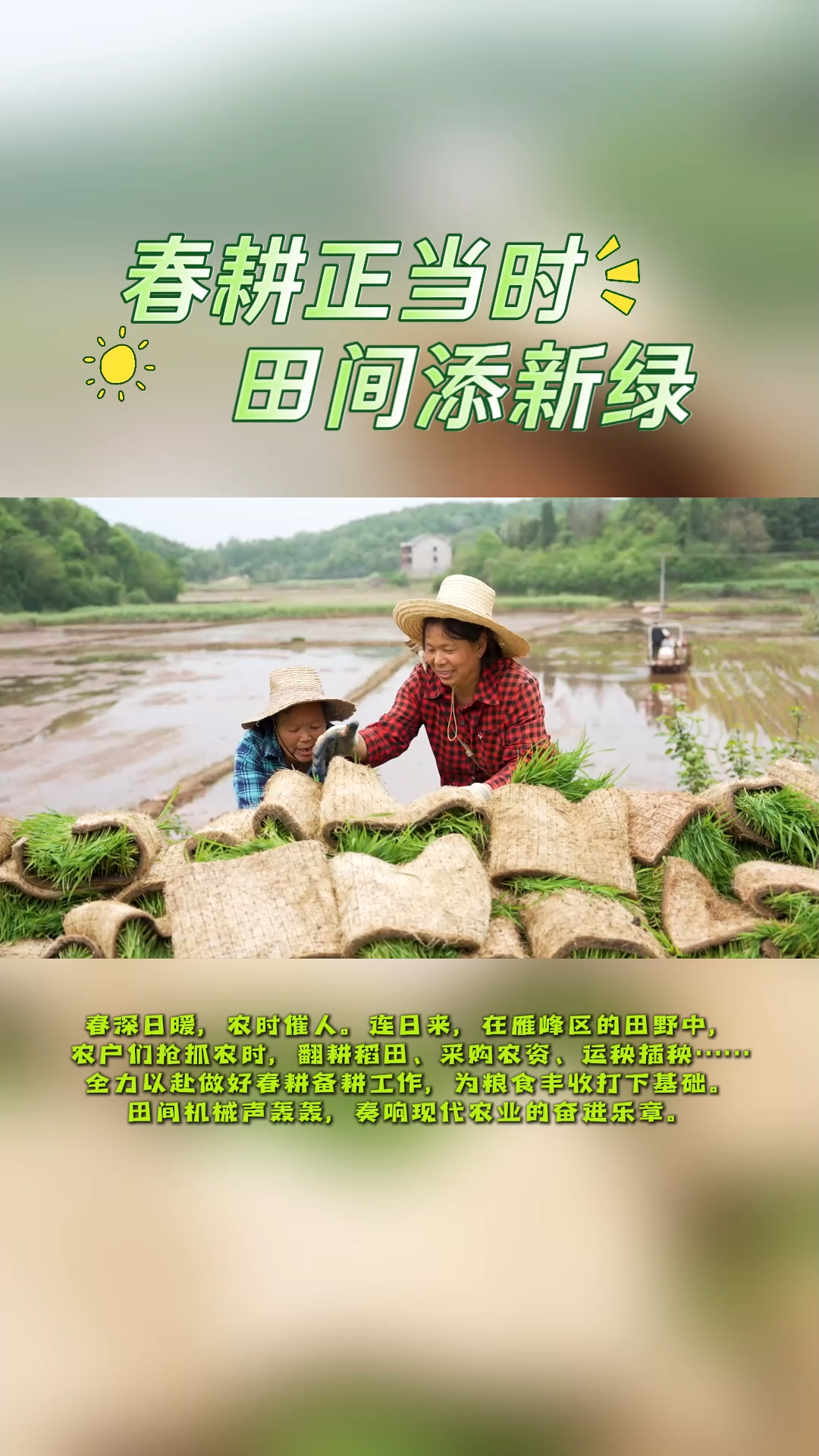 雁峰區(qū)：春耕正當(dāng)時 田間添新綠